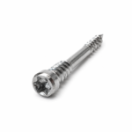 Fastshifter Hardwood A4 invisible 5x60_torx25